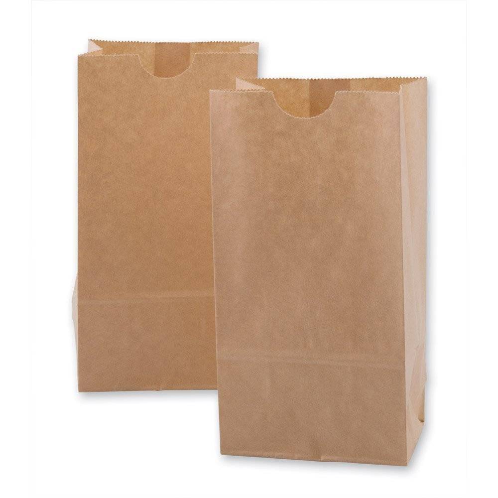 20LB Brown Paper Bags