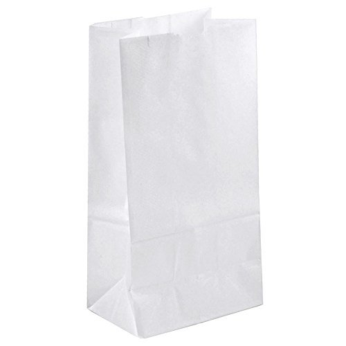 20LB White Paper Bags