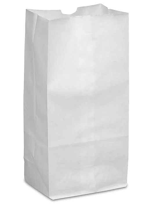 5LB White Paper Bags